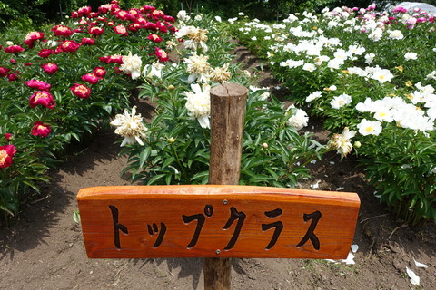 DSC04012
