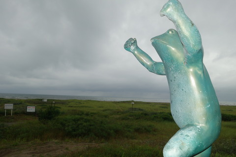 DSC00030