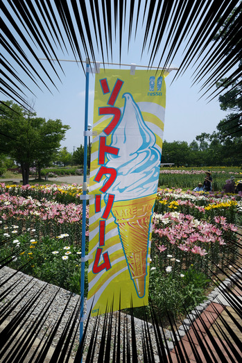 img1446130517323