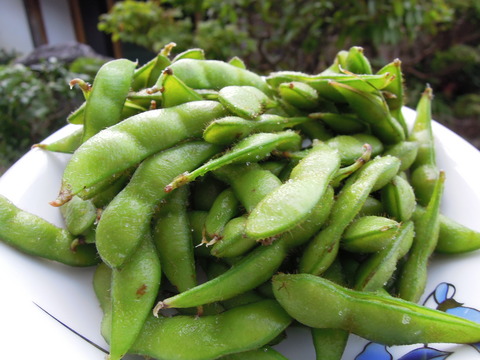 DSCN6851