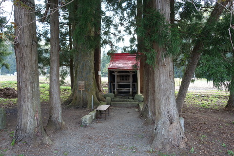 DSC03019