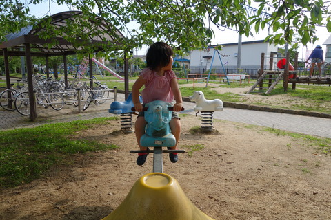 DSC05556