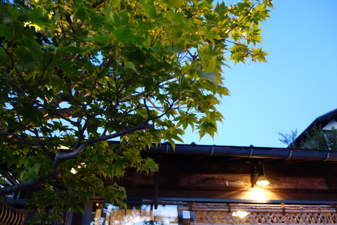 DSC01189