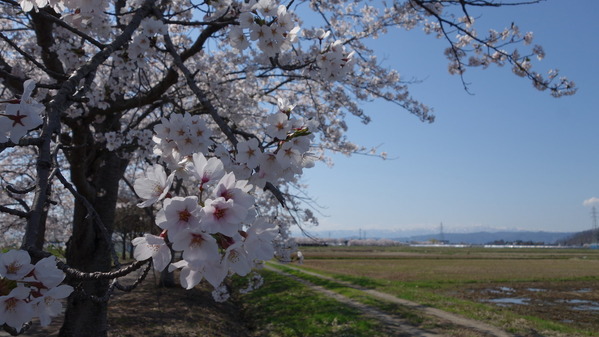DSC09598