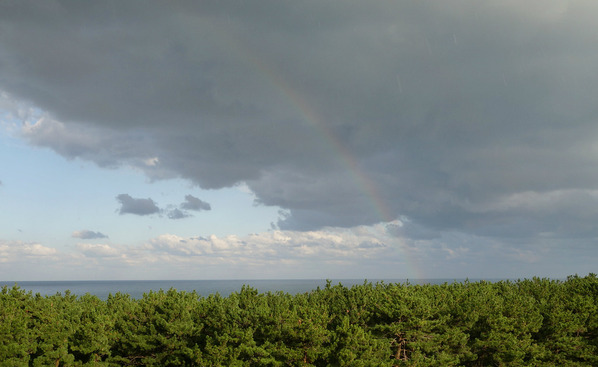 new_DSC06951