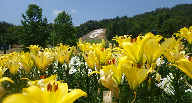 new_DSC02092