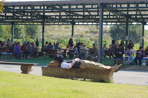 DSC08437