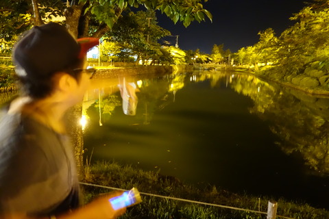 DSC01346
