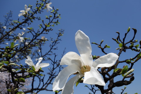 DSC02501