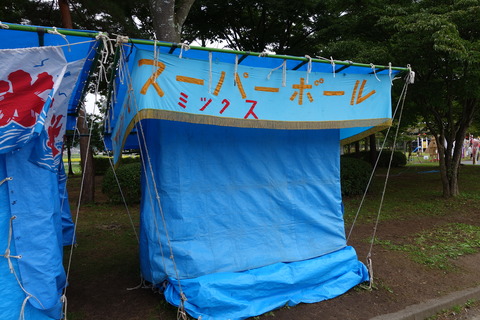 DSC06008