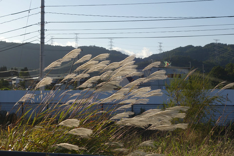new_DSC05518