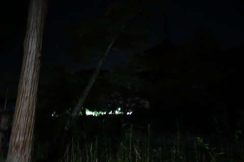 DSC01810