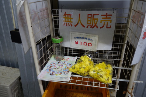 DSC07455
