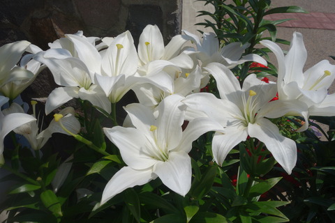 DSC02065