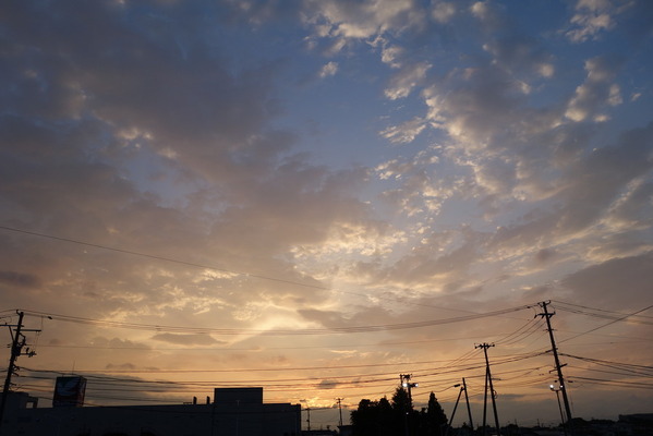 DSC00212