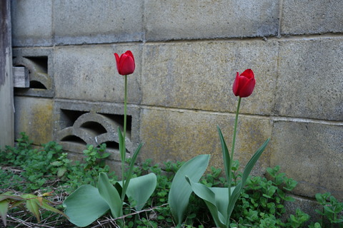 DSC02894