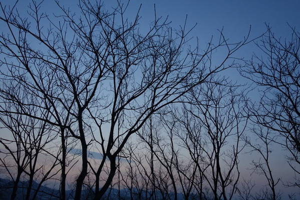 DSC00407
