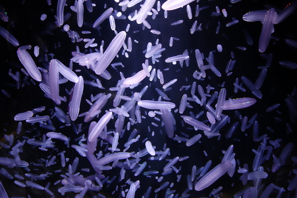 DSC07128