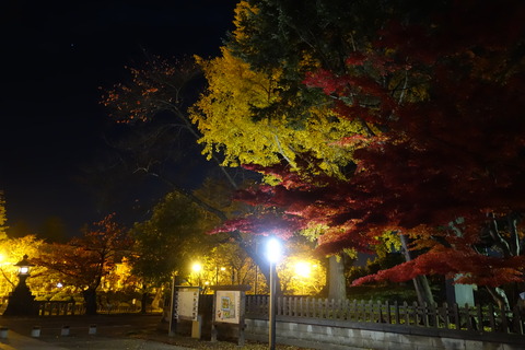 DSC07418