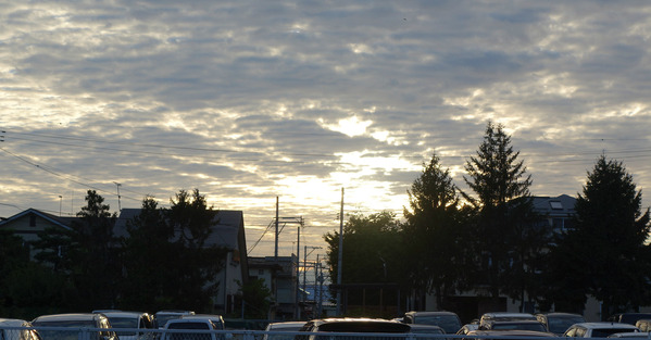 new_DSC03677