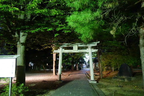 DSC04119