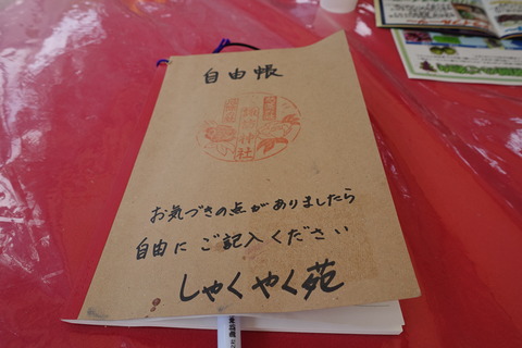 DSC04072