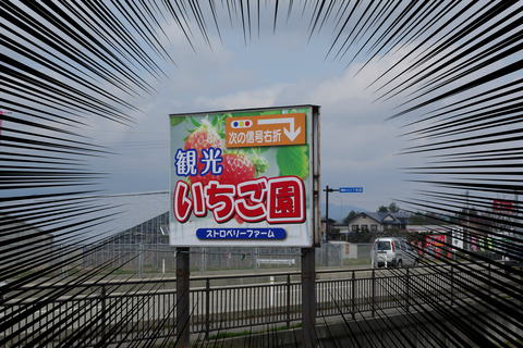 img1463972208515