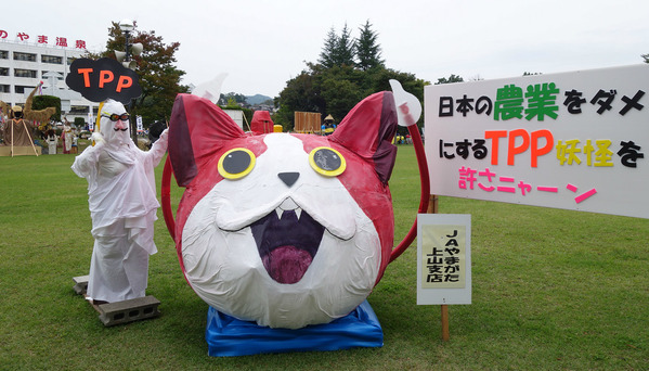 new_DSC06050