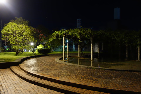 DSC02342