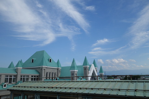 DSC05539