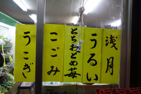 DSC04203