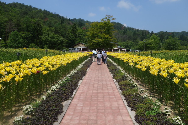 DSC02093