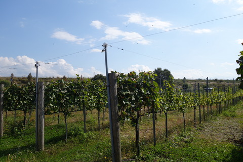 DSC08443