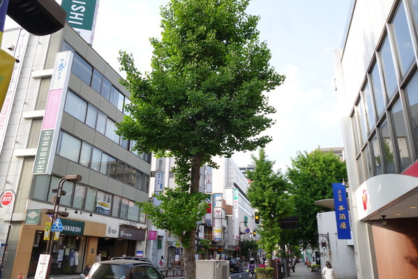 DSC06117