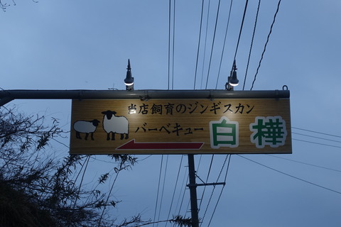 DSC00388