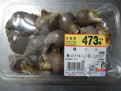 DSCN6508