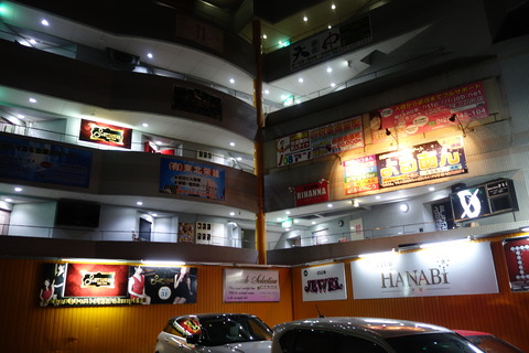 DSC08111