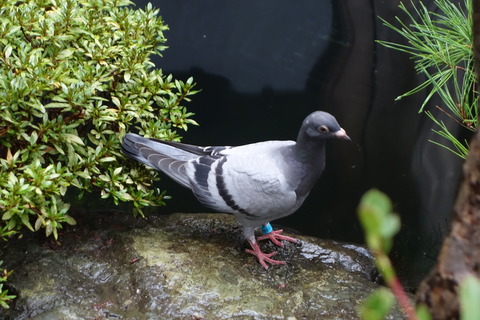 DSC06505