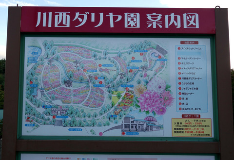 new_DSC07918 (2)