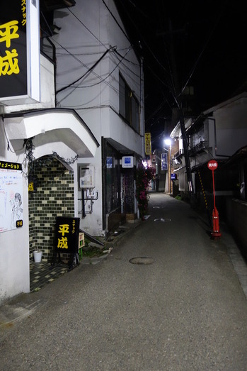 DSC01487