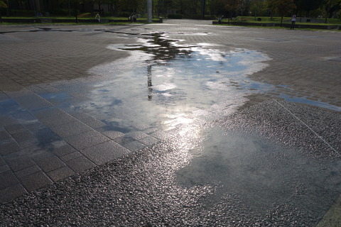 DSC03601
