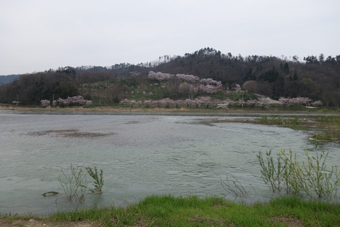 DSC02738