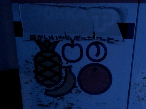 new_IMAG7233