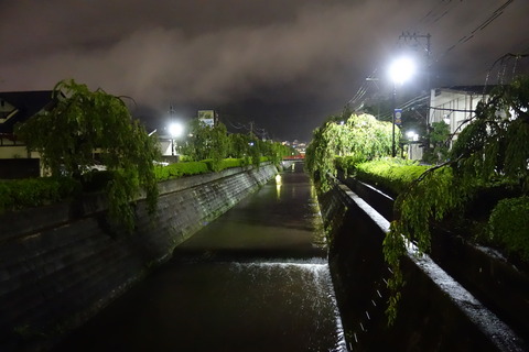 DSC04294