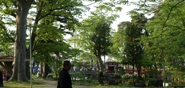 new_DSC06239