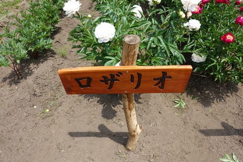 DSC04009