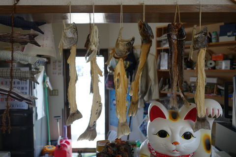 DSC02576
