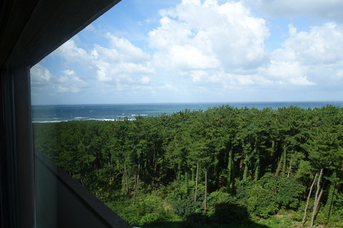 DSC07013