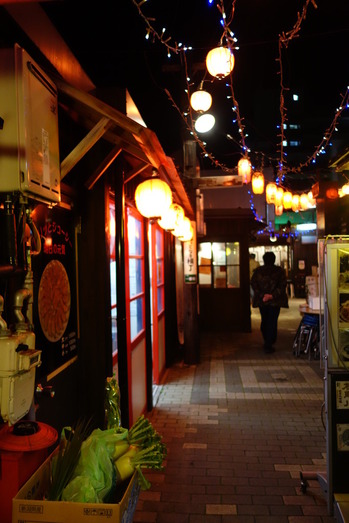 DSC08240