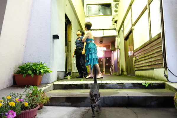 DSC04354